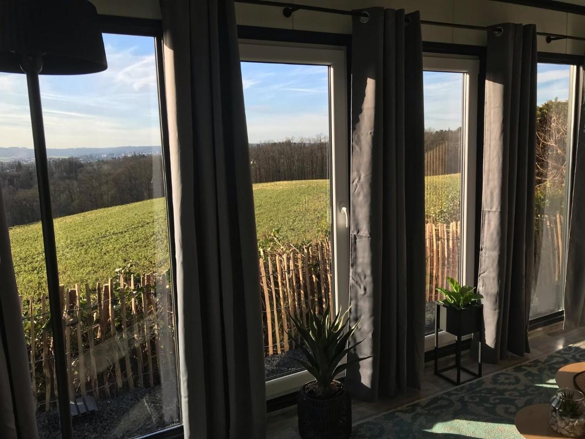 Tiny-House Mit Alpen- Stadt- Und Poolblick , Wlan 帕绍 外观 照片