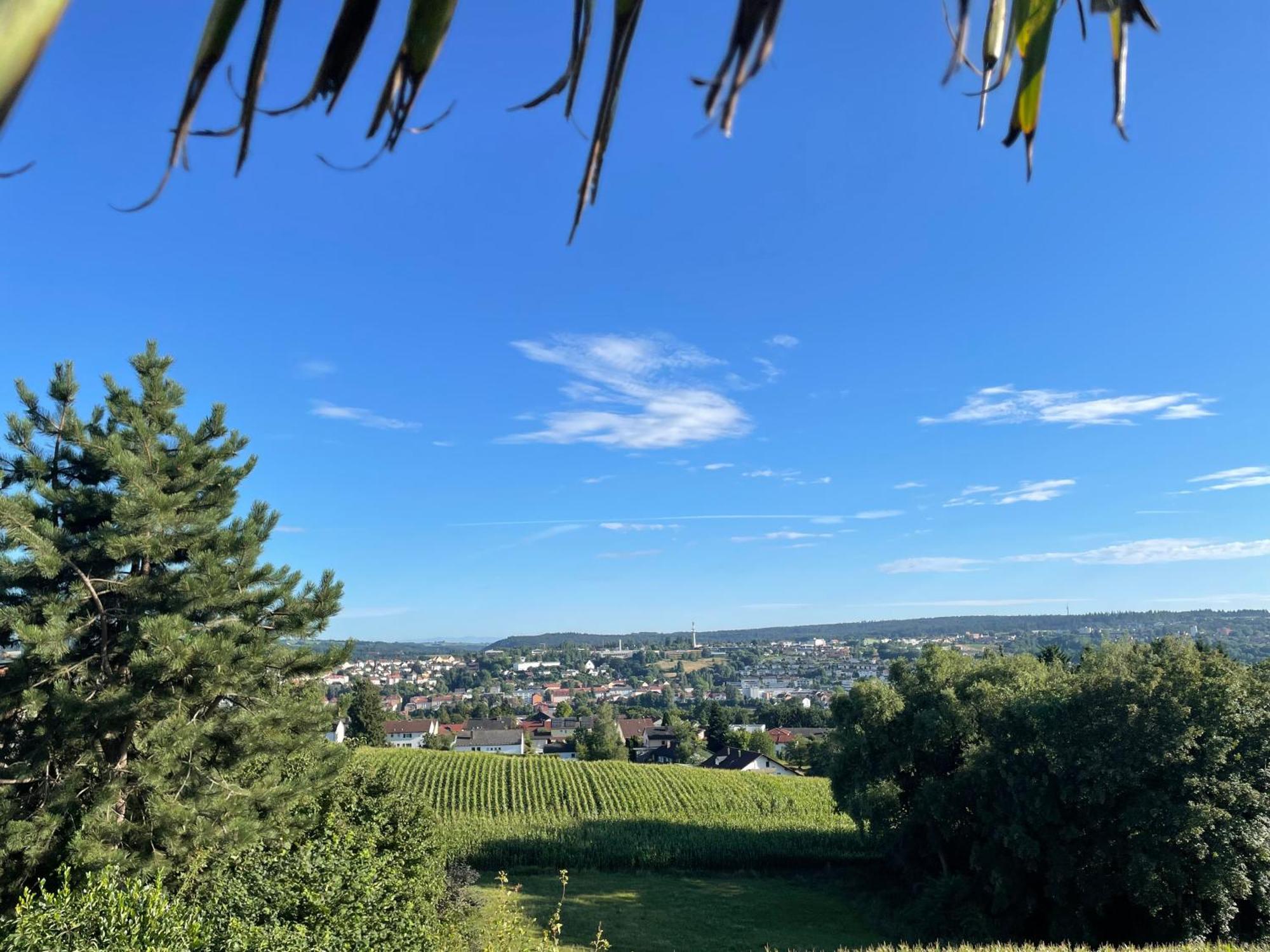 Tiny-House Mit Alpen- Stadt- Und Poolblick , Wlan 帕绍 外观 照片